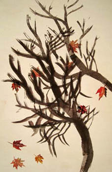 autumn maple back night